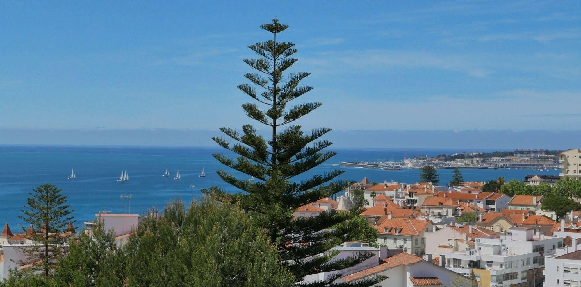 Dolce Vita Guesthouse Estoril Exteriér fotografie